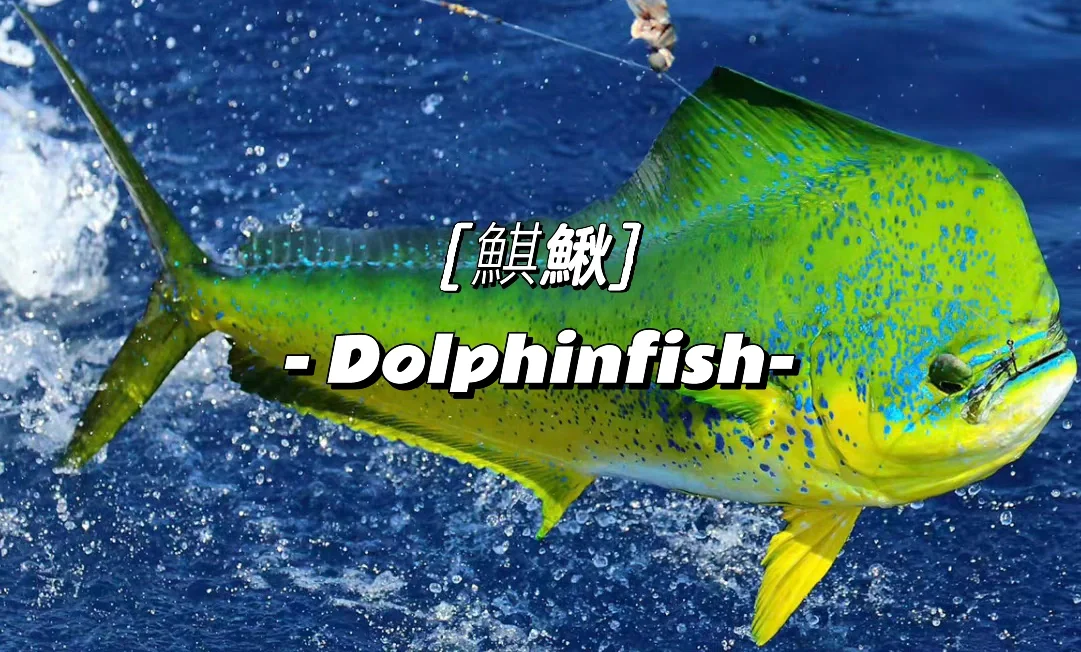 爱游戏官方网站-沂(怮?e?